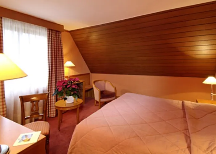 Aux Chants Des Oiseaux